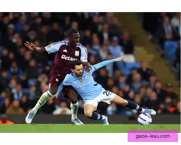 阿斯顿维拉百年传承与英超荣耀复兴之路全景解析历史文化与未来发展展望