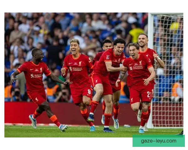 富勒姆足球俱乐部历史荣誉与未来发展全景解析 富勒姆足球俱乐部历史荣誉与未来发展全景解析