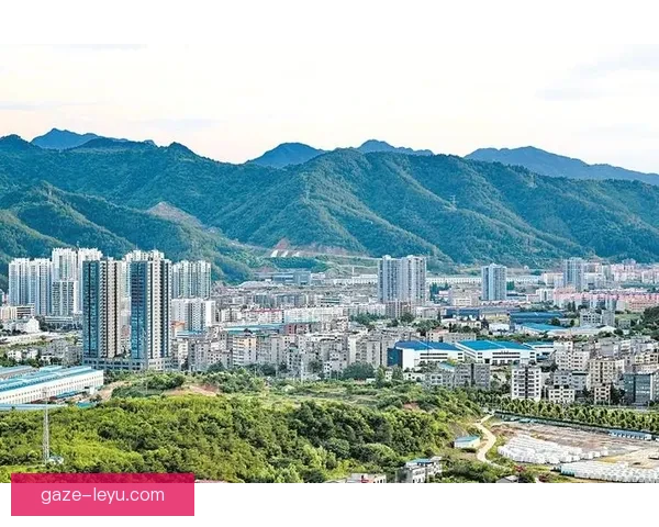 诺丁汉森林俱乐部历史辉煌与未来发展全景解析